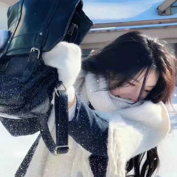 奎师那与伊人